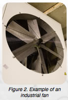 Fan with Blades
